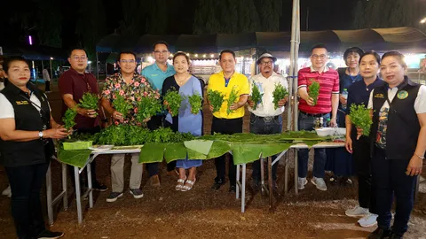 เที่ยว อ.ศรีสวัสดิ์ ไปเทศกาลล่องแพเมืองกาญจน์ ชิมผักหวานป่า ที่หมู่บ้านแก่งแคบ