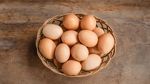 ทำนายฝันเห็นไข่ไก่ ไข่เป็ด ดีหรือไม่ หมายความว่าอย่างไรบ้าง