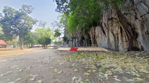 ลิงเขาปฐวีหิวจัด รวมฝูงบุกบ้าน ยึดหน้าวัด สร้างความเดือดร้อนให้ ปชช.