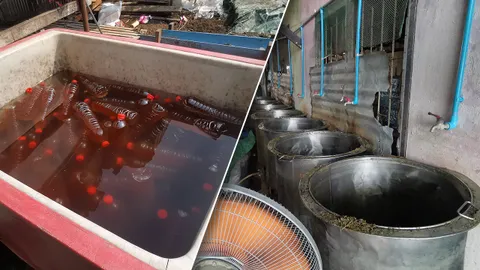 จับโรงงานผลิตน้ำท่อม 4X100 รายใหญ่นนทบุรี ต้มใส่ขวดขาย "บังฟิกกระท่อมซิ่ง"