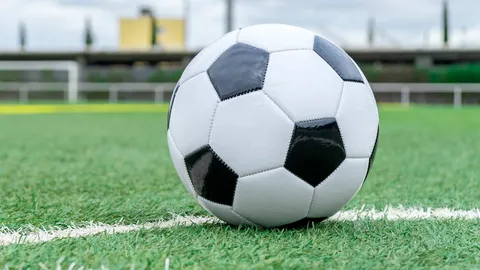 ไม่ต้องหวัง