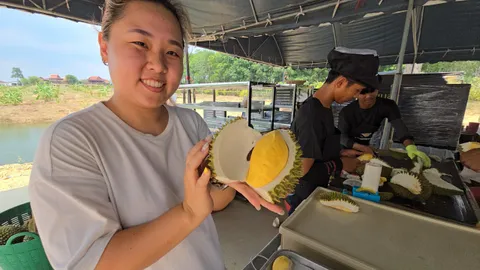 ทุเรียนของดีระยอง ที่สวนคุณยายมีหลายพันธุ์ 12 เม.ย.เปิดบุฟเฟต์หัวละไม่ถึงพัน