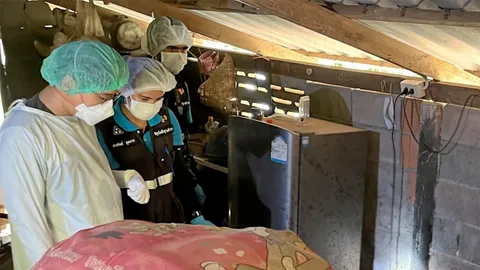 ฆ่าตัดคอ