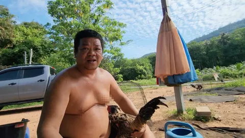 เจ้าของสวนทุเรียนเกาะช้าง เพาะเลี้ยงไก่ชนพันธุ์พม่าเป็นธุรกิจเสริม สร้างรายได้งาม