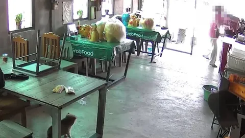 ง้อไม่สำเร็จ สาวบุกพังร้าน "อดีตแฟน" หลังไม่ยอมคืนดี ล่าสุดพ่อฝ่ายหญิงขอโทษแล้ว