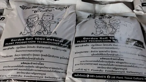 เด็ก มรภ.เพชรบูรณ์ ผลิต "ดินพร้อมปลูก" ขายช่วงปิดเทอม สำหรับไม้ดอกไม้ประดับ 