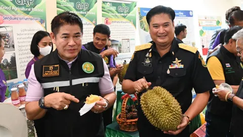 ธรรมนัส ให้กรมวิชาการเกษตร ตรวจสุขภาพพืชหนุนส่งออกทุเรียน ตั้งเป้า1.3 แสนล้าน