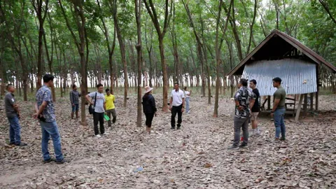 ตร.เร่งคลี่คดีฆ่ารัดคอสาวขอนแก่นหมกไร่มัน คาดตัดตอน ล้างหนี้ยาเสพติด