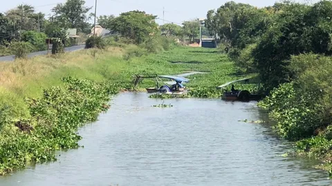 กรมชลฯ ช่วยทันควันนำเครื่องจักรสูบน้ำเติมคลองสาย 4 แก้ภัยแล้งที่ อ.เสนา แล้ว
