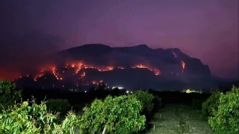 ประกาศปิด "ดอยหลวงเชียงดาว" ไม่มีกำหนด เพื่อจัดการพื้นที่สงวนชีวมณฑล