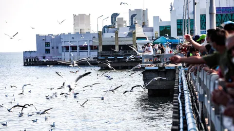 กอช.มีมติยก "บางปู" เป็นพื้นที่เครือข่ายนกน้ำอพยพ