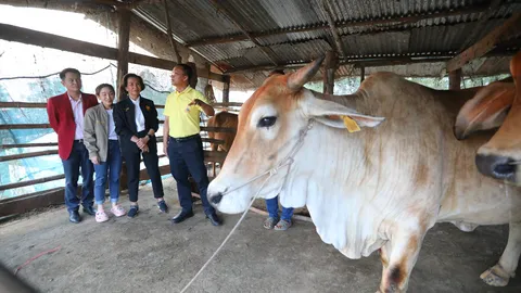 "สมศักดิ์" แนะศึกษาการเลี้ยง "โคแสนล้าน" จากครอบครัวต้นแบบ เพื่อความสำเร็จ