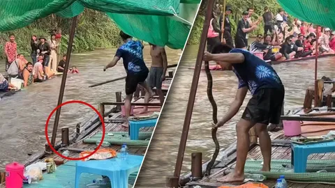 จากนักท่องเที่ยว กลายเป็นผู้ประสบภัย เมื่อจงอาง เลื้อยตามน้ำมาขอขึ้นแพ (คลิป)