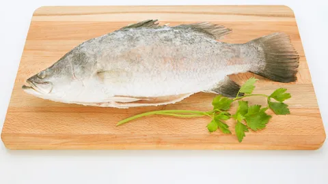 กรมประมงชวนเที่ยวงาน "ชาตินิยม กะพงไทย" เลือกซื้อปลาสดใหม่ ตัวใหญ่จากฟาร์ม 