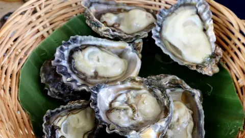 วิสาหกิจชุมชนหอยนางรมท่าโสม รับรางวัลดีเด่นแจกหอยให้กินฟรี พร้อมชวนเที่ยวชุมชน