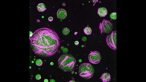 ทีมวิจัย สหรัฐฯ เผยเซลล์เทียมที่ทำหน้าที่เหมือนเซลล์ที่มีชีวิต