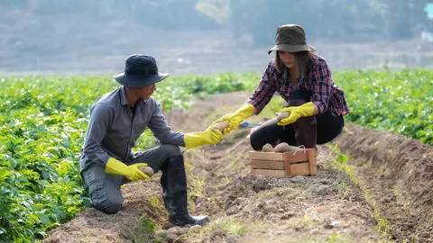 รัฐบาล เตือนภัย อย่าเชื่อโรงเรียนสอนภาษา พาไปทำงานเกาหลีใต้ได้วีซ่า E8