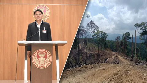 สส.ก้าวไกล แฉ กลุ่มอิทธิพลฮั้วข้าราชการปล่อยทำลายป่าต้นน้ำ จ.กระบี่