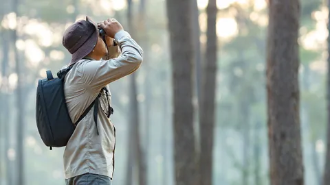 NSM ชวนสำรวจธรรมชาติในเมือง