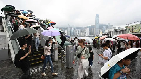 ผ่ากระหน่ำเป็นชุด