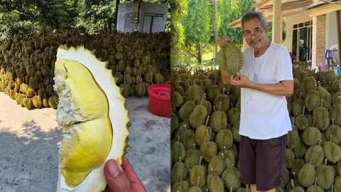 อดีตดารารุ่นใหญ่ ผันตัวทำสวนทุเรียน ผลผลิตปีนี้ปังมากขายหมดเกลี้ยง