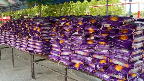 จัดหนัก นายก อบต.บวชหลาน "แจกข้าวหอมมะลิ" 10 ตัน แขกร่วมงานเพียบ