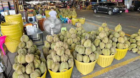 อากาศร้อน กระทบสวนทุเรียนผลผลิตลดลง ผลักราคาขายส่งที่ตลาดราชบุรีสูงขึ้น