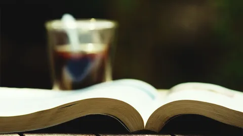 เอี้ยนอิงเจ้าปัญญา