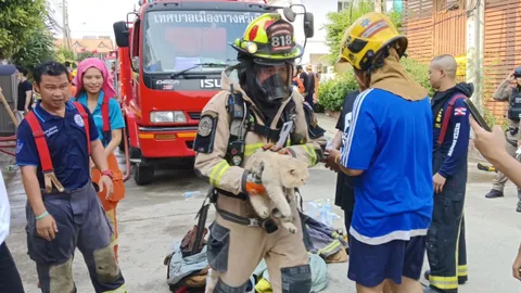ไฟไหม้บ้านทาสแมว นักผจญเพลิงช่วยชีวิต รอดหมด 16 ตัว 
