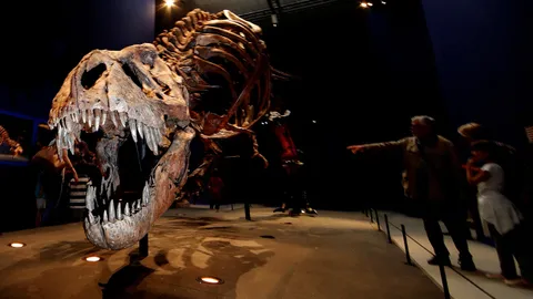 นักบรรพชีวินวิทยา อังกฤษ โต้แย้งข้อมูลวิจัยความฉลาดใน ที.เร็กซ์