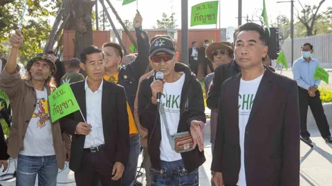 “เครือข่ายกัญชา” เดือด ขีดเส้น 7 วัน ชุมนุมเรียกร้องรัฐ กำหนดกติกากัญชาให้ชัด