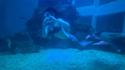 ­­­เกาะตู้ดู "นางเงือก" ที่พิพิธภัณฑ์ "หว้ากอ"