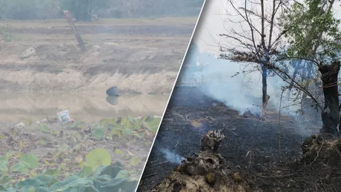 เผาขยะไฟลามทุ่ง "2 หนูน้อย" หวังช่วยดับ พลาดจมสระดับทั้งคู่