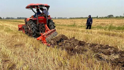 พื้นที่เกษตรลดเผา 12% จัดการเศษวัสดุได้ 61%