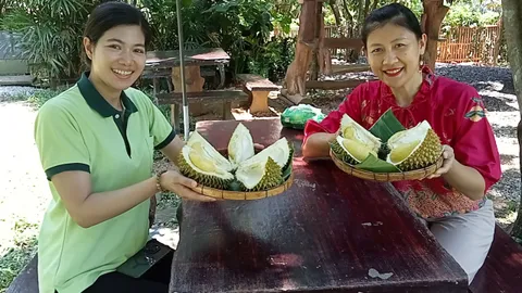 มาแล้ว "หลงหลินลับแล" ลอต 2 สวนป้าเรียน นทท.แห่กินถึงสวน สัมผัสเนื้อครีมหวานมัน