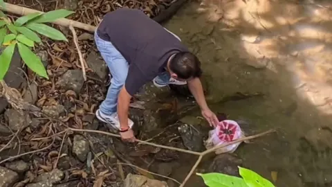 จับหลานผัว ลอบยิงแม่ค้าฟักทอง ถูกสะกดวิญญาณในหม้อเหมือนแม่นาค