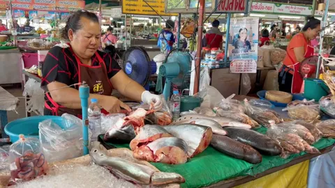 ชูตลาดสด ทต.ศรีสงคราม สู่ซอฟต์พาวเวอร์ตลาดปลาน้ำโขง ใหญ่สุดของไทยที่นครพนม