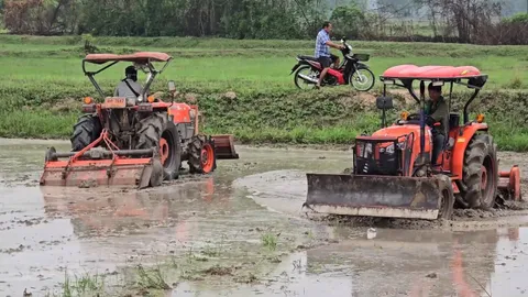 ฝนตกชาวนาแห่เตรียมแปลงนา เป็นโอกาสสิงห์รถไถรับจ้างไถนา ได้ค่าจ้างวันละ 4 พัน