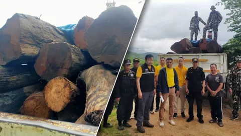 จับรถบรรทุกขนไม้กระยาเลย อ้างลอยมาตามน้ำ จะนำไปเก็บไว้หมวดทางหลวงปาย