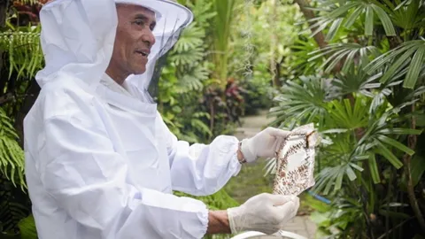 น้ำผึ้งชันโรง