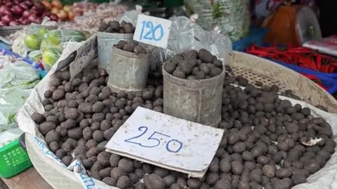 แพทย์เตือนกิน "เห็ด" ระวังเจอ "เห็ดพิษ" แนะสังเกตให้ดี หากพลาดเสี่ยงถึงตายได้