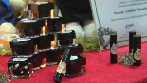 ทีม นศ.เทคนิคลานนา คิดค้นลิปสติกหญ้า มีสารสมุนไพรจากหญ้าดอกขาว เพื่อลดสูบบุหรี่