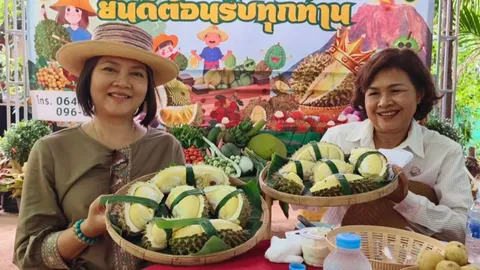 ทุเรียนภูเขาไฟคนแห่ชิมสวนแทบแตก ด้าน อ.กันทรลักษ์ เตรียมจัดงานใหญ่ 12-18 มิ.ย.