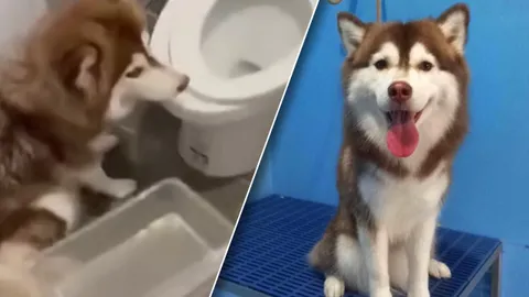 สาวยอมรับขาดสติ ราดน้ำร้อนไซบีเรียน พลาดจัดการอารมณ์ไม่ได้