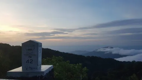 เชียงใหม่ฝนตก ดอยอินทนนท์และดอยเชียงดาว มีทะเลหมอกขาวตัดป่าสีเขียวน่าเที่ยว