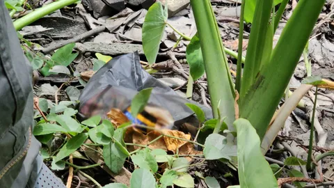 เจอแล้ว มือ 2 ข้างตัดจากร่างสาว 18 แฟนโหดใส่ถุงดำโยนทิ้งข้างคลอง