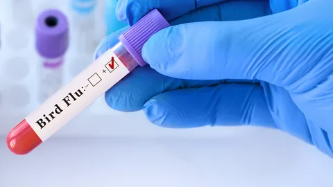 เฝ้าทุกด่านยันไทยไม่เสี่ยงไข้หวัดนก