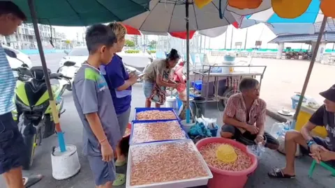 ฝูงแม่หอบอ่อนลอยเกลื่อนทะเลบางแสน ชาวบ้านช้อนไปขาย ทำเงินดี กก.ละ 50-100 บาท