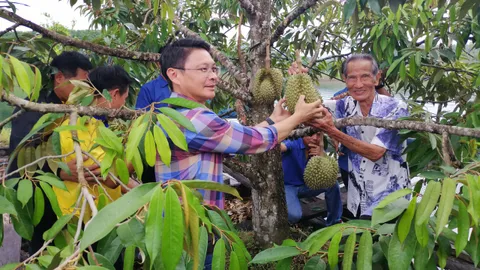 ตัดแล้วทุเรียนลอยน้ำ 3 ลูกแรก โปรโมตงานผลไม้ ของดีทองผาภูมิ 28 มิ.ย.-2 ก.ย.นี้