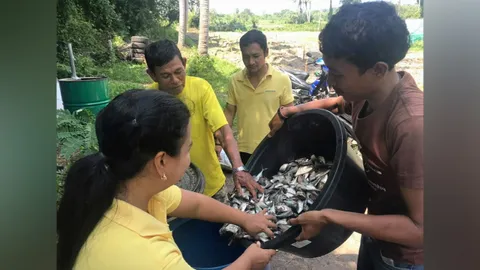 น้ำหมักชีวภาพซุปเปอร์ พด.2 สารพัดประโยชน์เพื่อคนทำนา